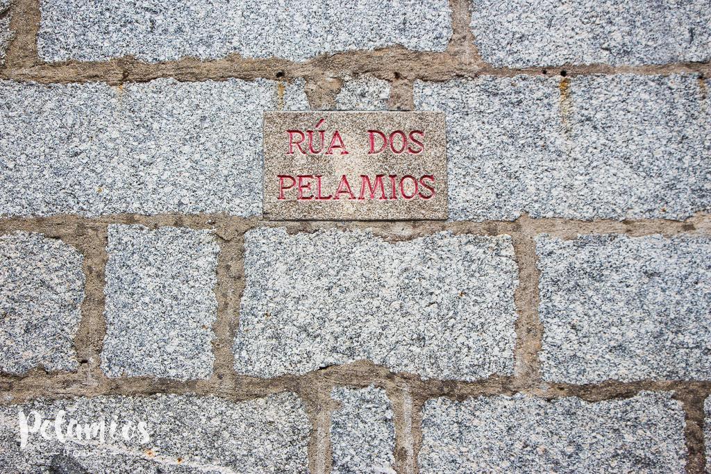 Pelamios House Apartment Santiago de Compostela Exterior photo